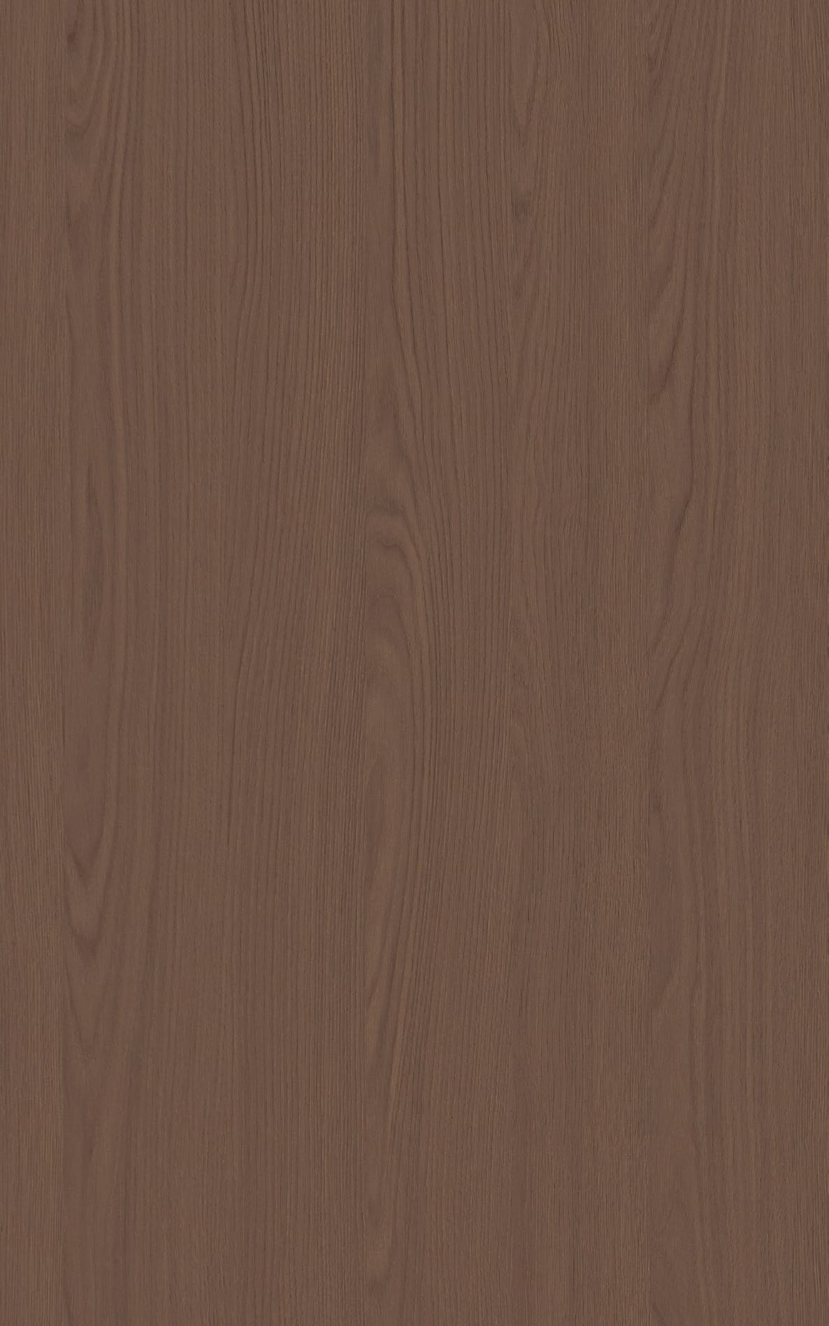 TB305-布兰卡橡木-4