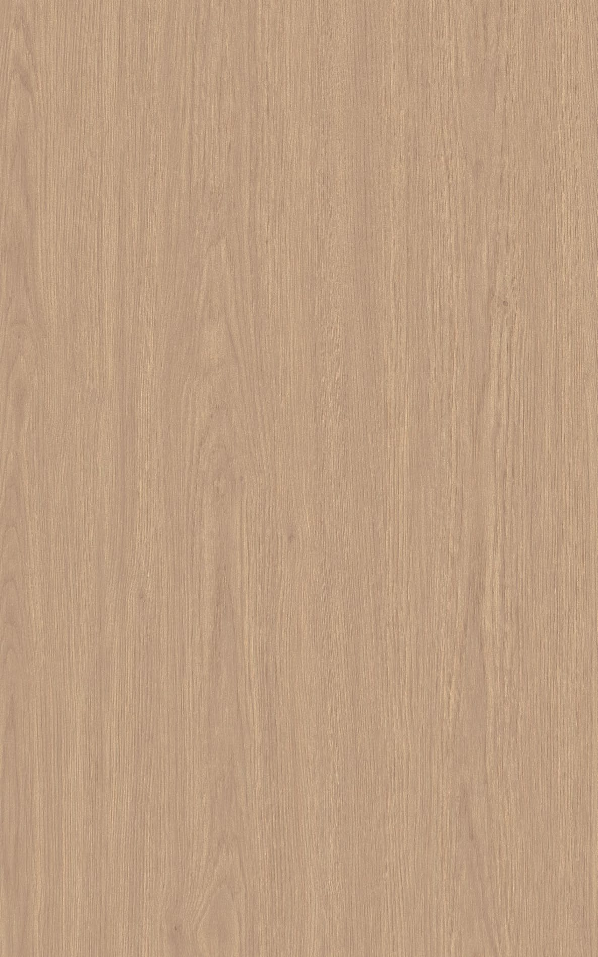 TB306-海德堡橡木-1