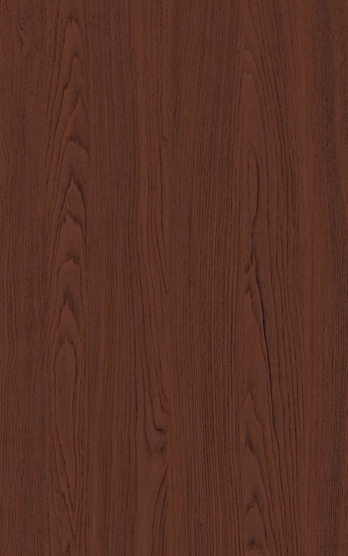 TB308-普罗胡桃-1