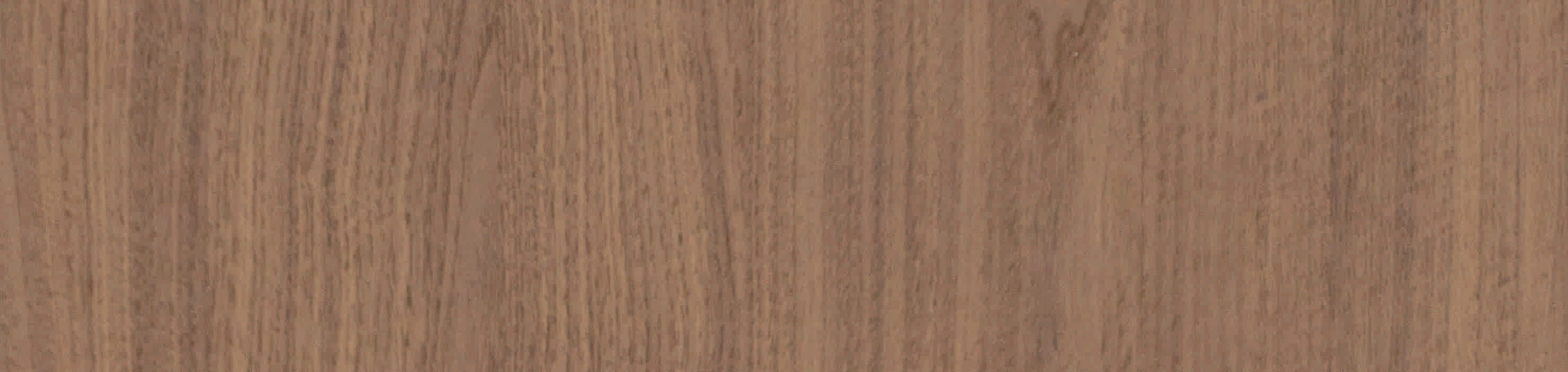 9DT05-林肯胡桃-1