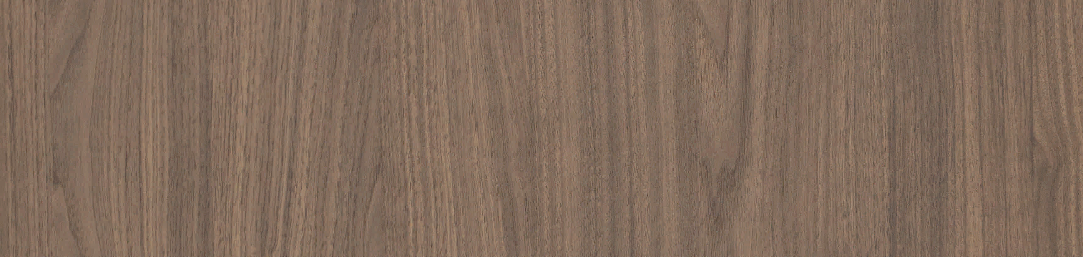 9DT08-林肯胡桃-3