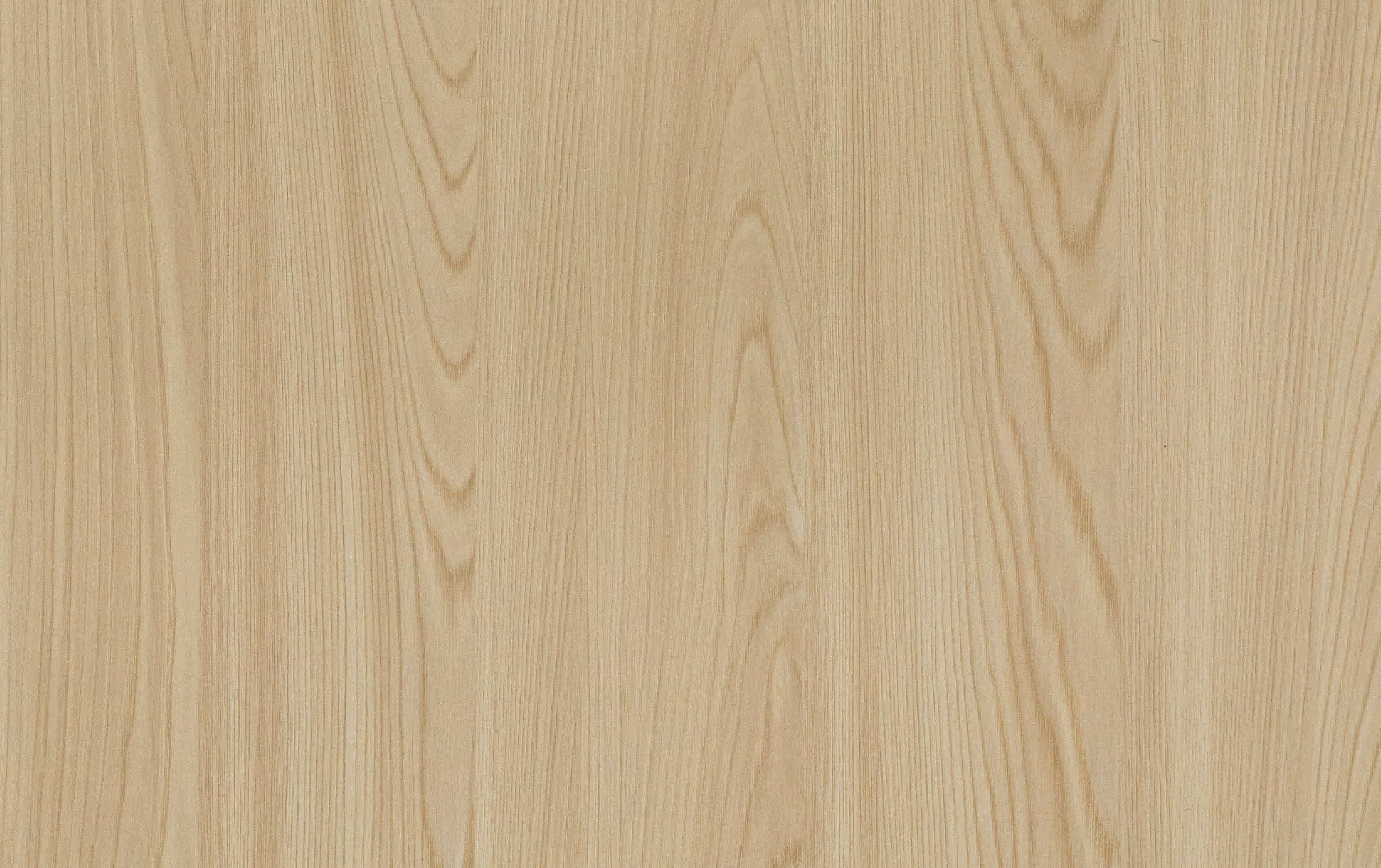 9DT11-半山胡桃-1