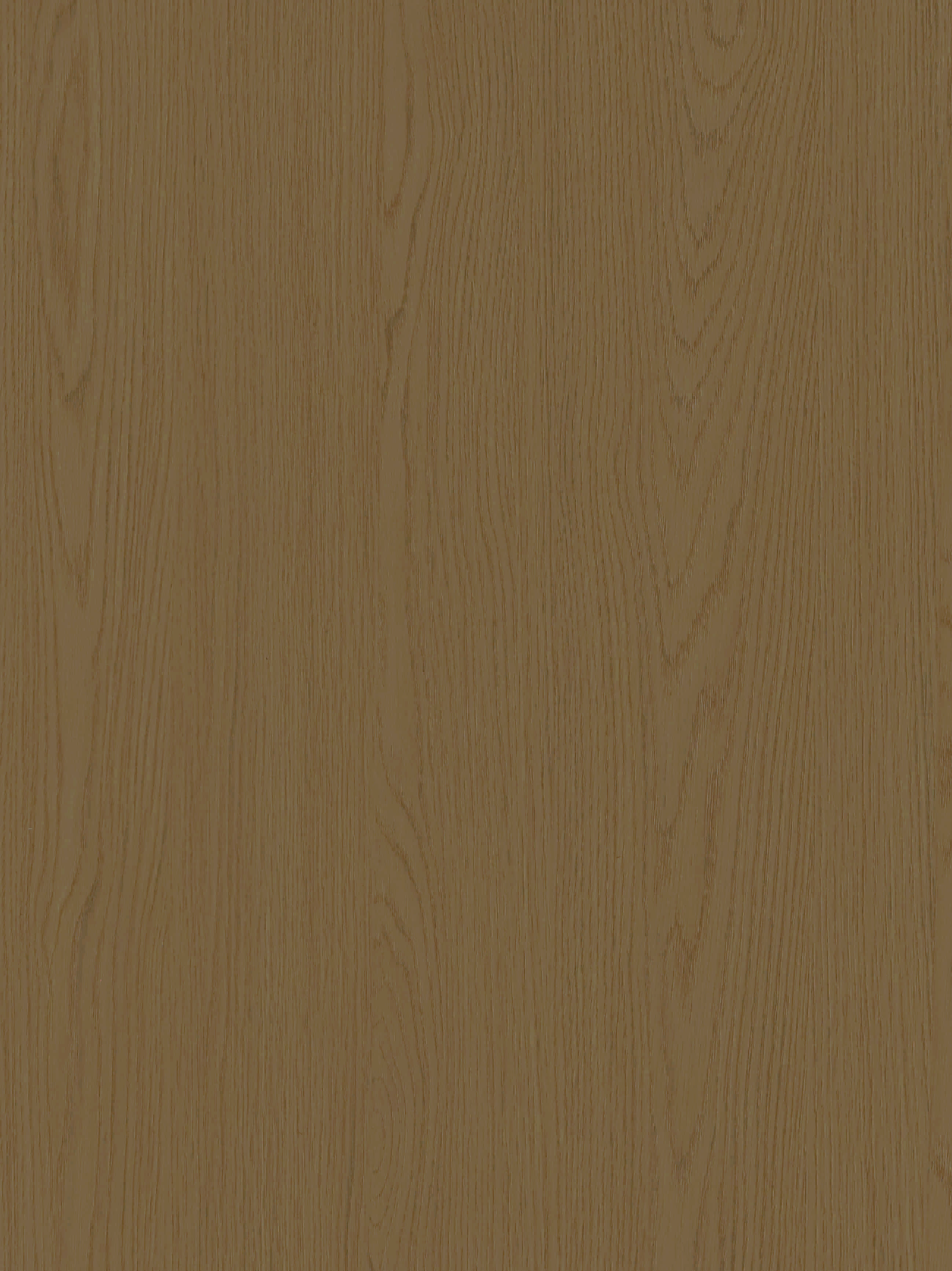 9DT29-亚美亚橡木-2