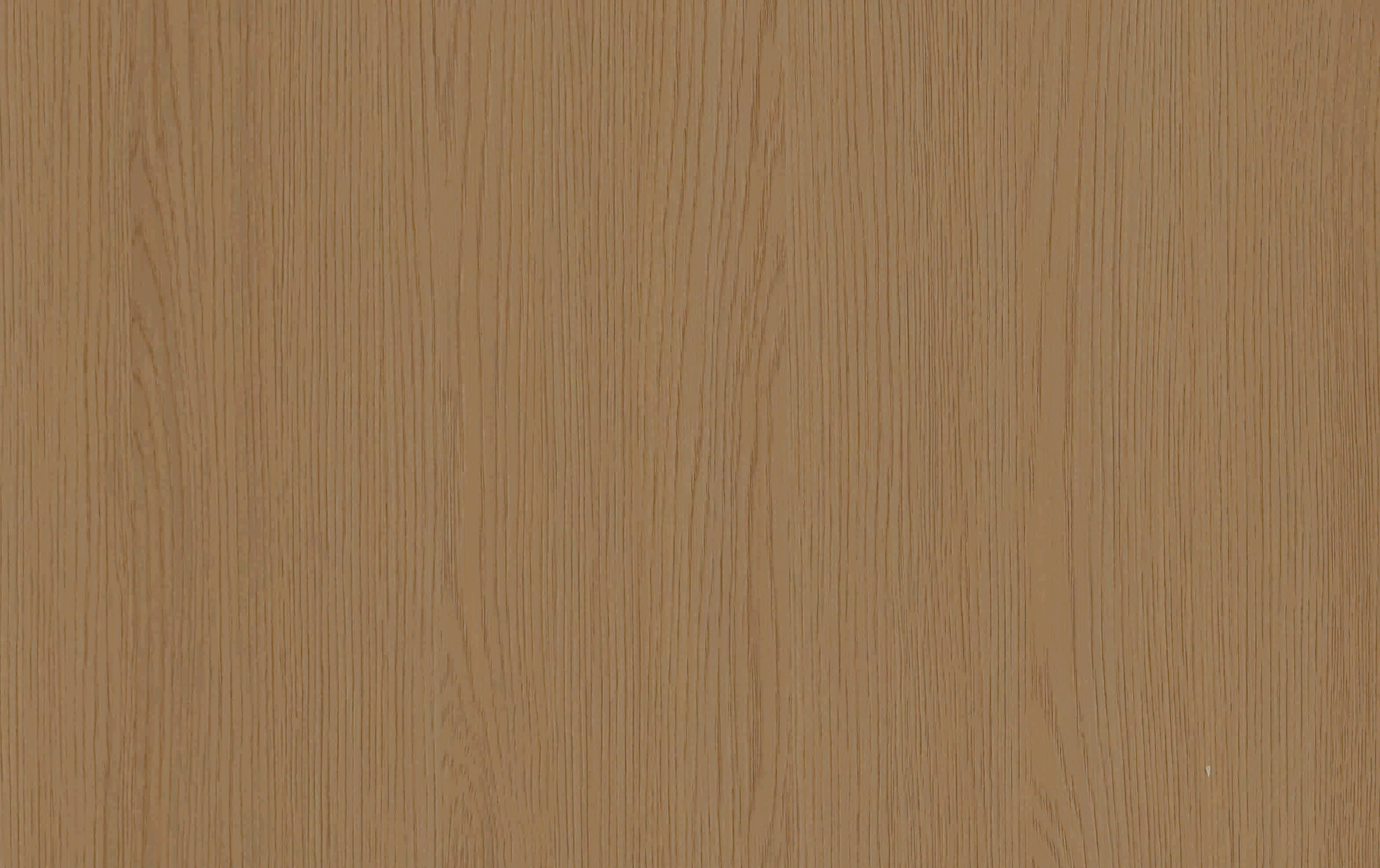 9DT31-北美橡木-2