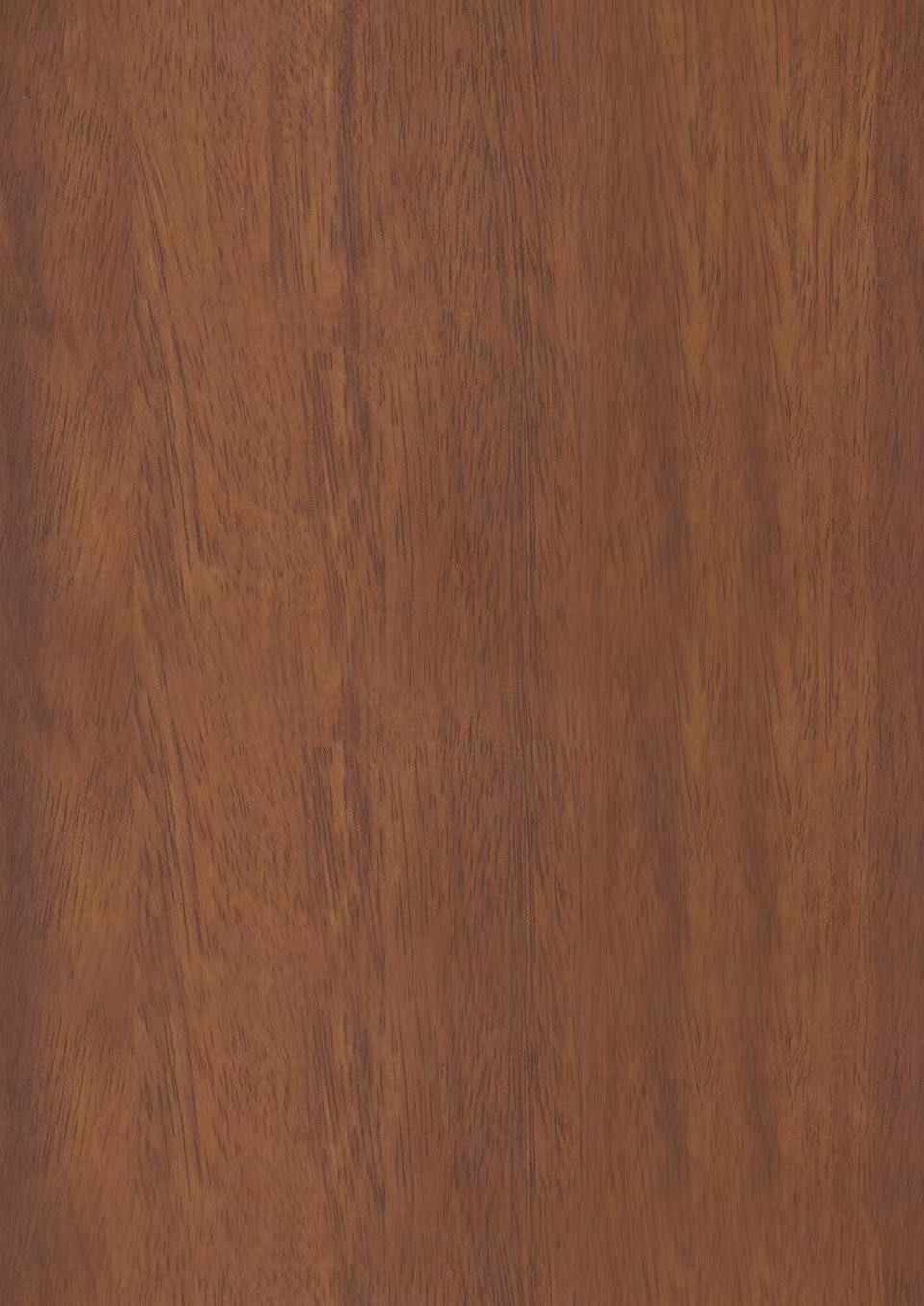 FT-9110-丹麦樱桃