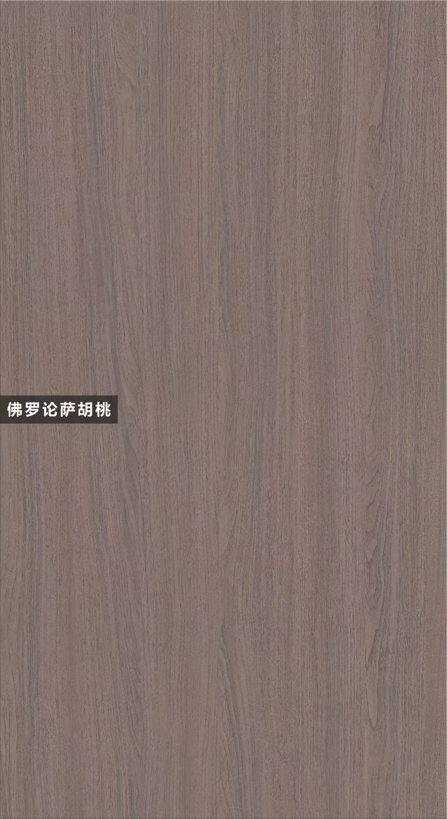 T01-佛罗伦萨胡桃