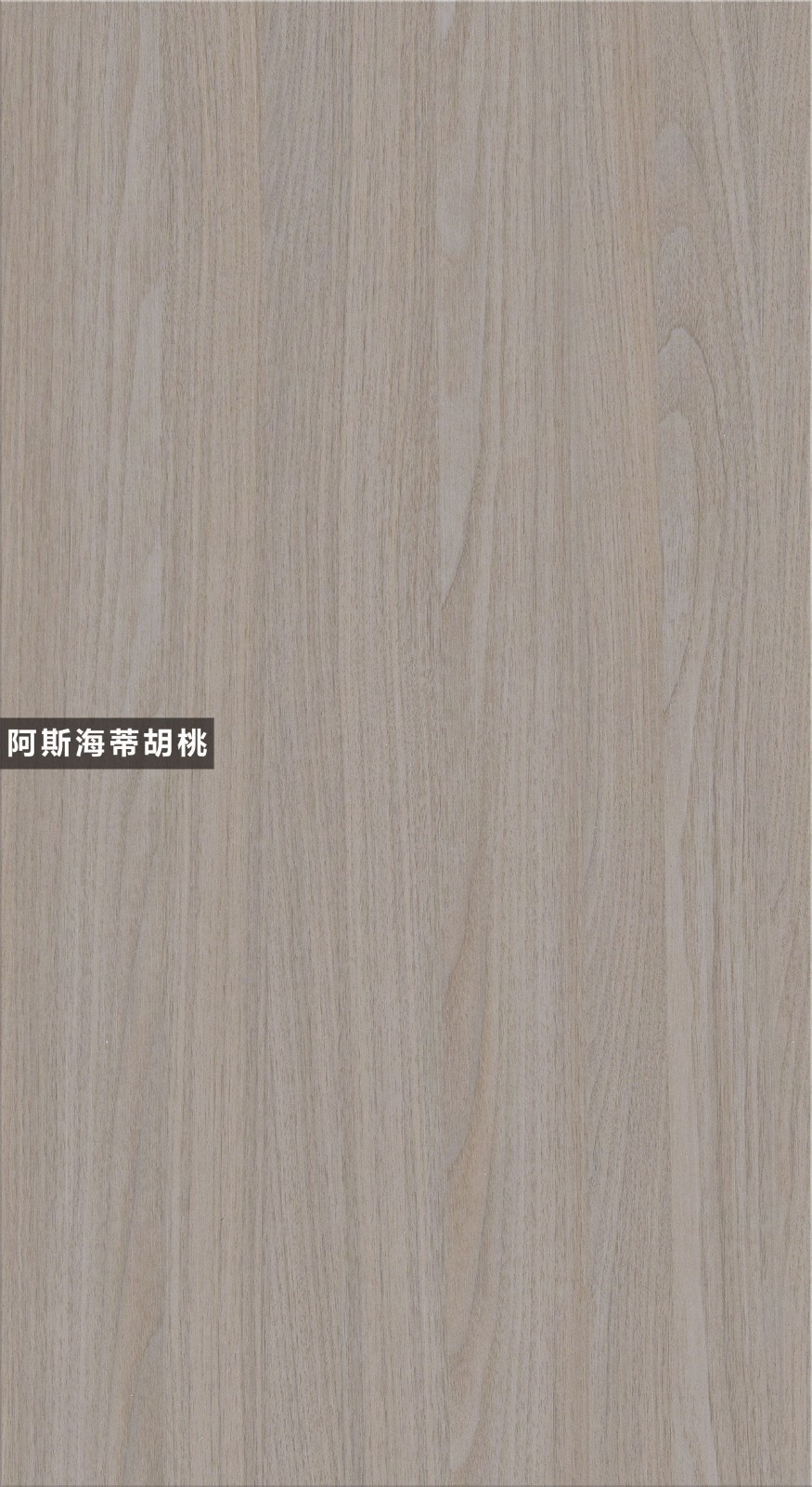 T16-阿斯海蒂胡桃