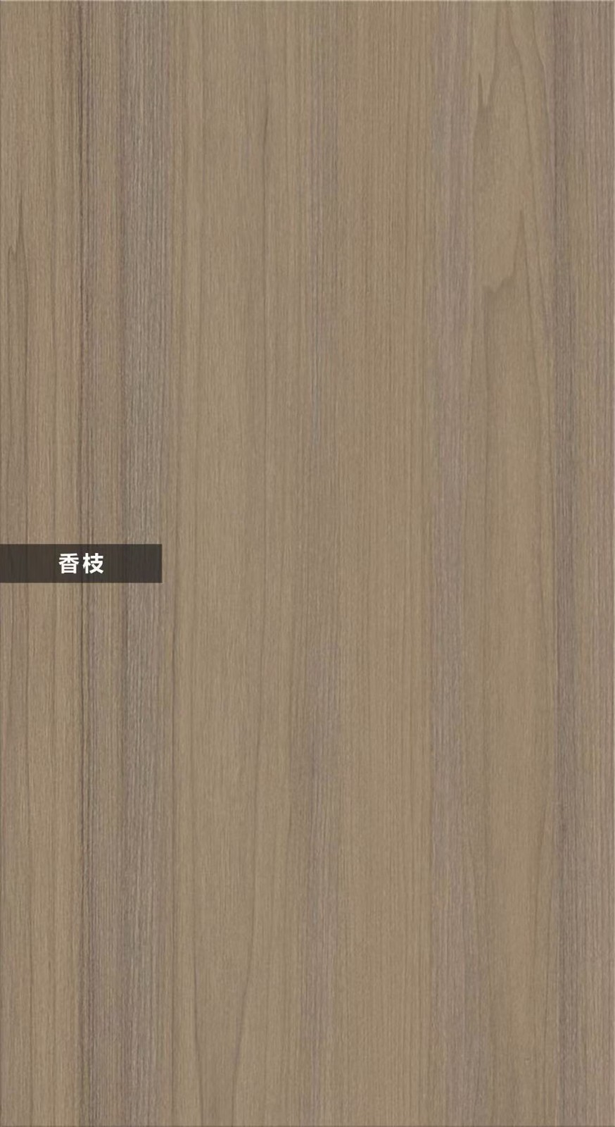 F-A335-香枝木
